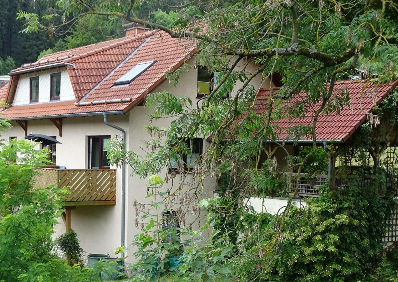 Ferienwohnung Am Berggrabenweg Ilmenau Esterno foto