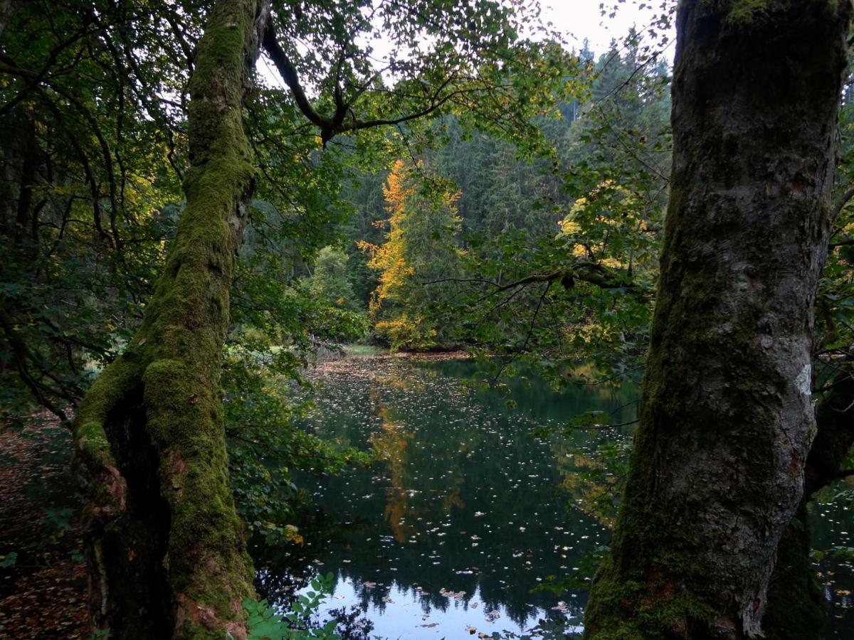 Ferienwohnung Am Berggrabenweg Ilmenau Esterno foto